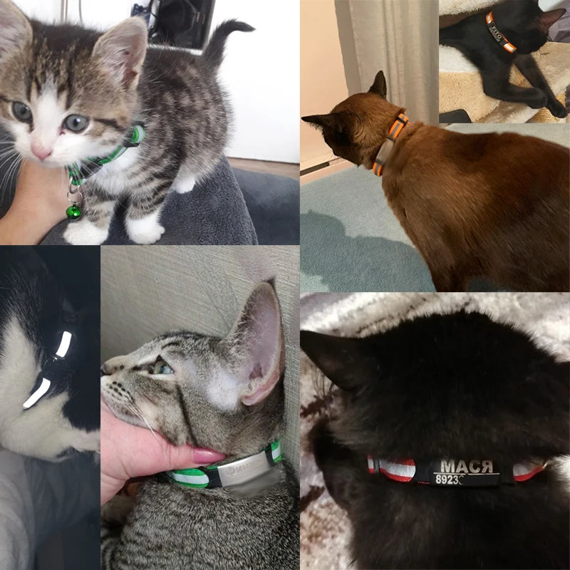Tamm Store Kuwait