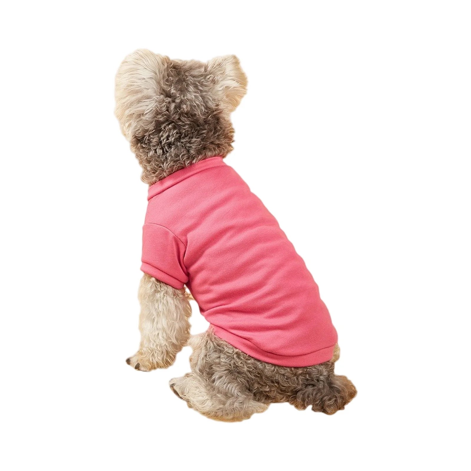 Tamm Store Kuwait